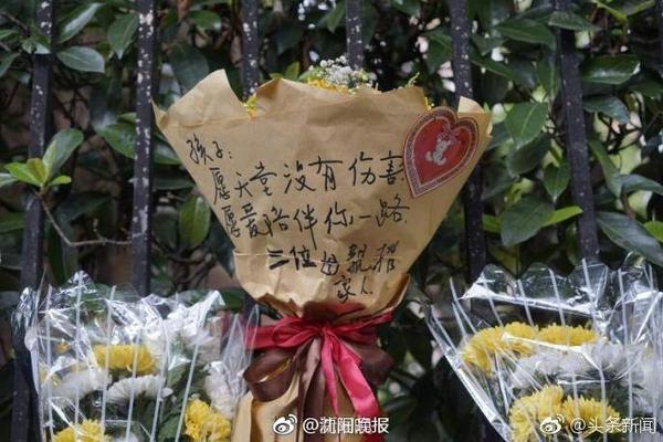 福利在线2025最新版